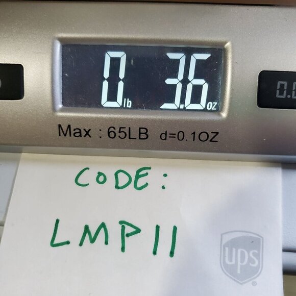 The North Face Bear Graphic Tee Overlay Shirt Top Boys Size Small NWT Crew Neck - Picture 13 of 13